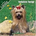 Yorkshire Terrier 2007 Wall Calendar