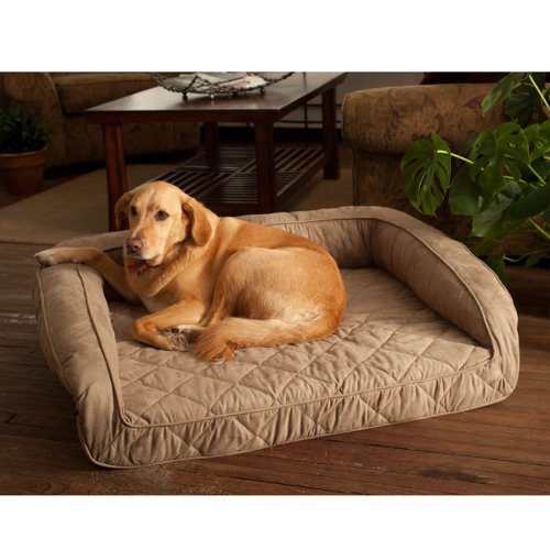 Bolster Memory Foam Dog Bed New Tool Pet By Alicia Sims