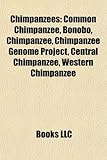 Chimpanzees: Common Chimpanzee, Bonobo, Chimpanzee, Chimpanzee Genome Project, Central Chimpanzee, Western Chimpanzee-