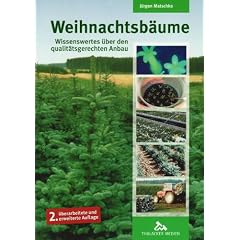 Weihnachtsb�ume: Wissenswertes �ber den qualit�tsgerechten Anbau