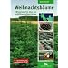 Weihnachtsb�ume: Wissenswertes �ber den qualit�tsgerechten Anbau