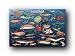 FISH RARE REFERENCE CHART ART PRINT POSTER NEW 77038