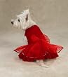 X-LARGE - Caliente Dog Dress X-LARGE - Caliente Dog Dress