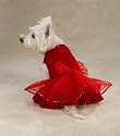 MEDIUM - Caliente Dog Dress