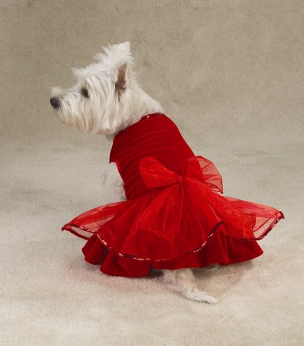 SMALL - Caliente Dog Dress