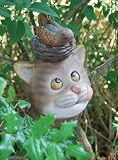 Outdoor Living : Feathers the Cat Garden Peeker and Outdoor Statuary