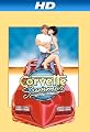 Corvette Summer