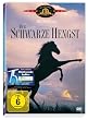 Der schwarze Hengst