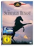 Der schwarze Hengst
