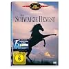 Der schwarze Hengst