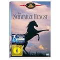 Der schwarze Hengst