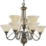 Progress Lighting P4121-86 9-Light Savannah Chandelier, Burnished Chestnut