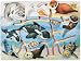 Wild Republic 64482 - Holz-Puzzle, Motiv Seetiere