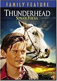 Thunderhead - Son of Flicka
