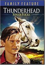 Streaming Thunderhead - Son of Flicka Online.