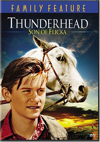 Review of Thunderhead - Son of Flicka Online