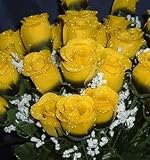 84 Silk Rose Flowers w/Raindrops - Wedding Flowers - Bridal/Floral - Black/Yellow