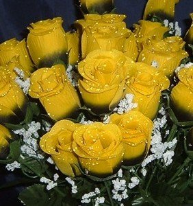 Amazon Flowers on Amazon Com  84 Silk Rose Flowers W Raindrops   Wedding Flowers