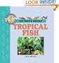 101 Facts About Tropical Fish
