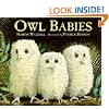 Owl Babies