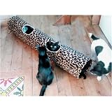 Kitty Fun Play Tunnel