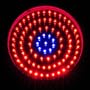 LED Wholesalers 2506MX Blue/Red 90 x 1 Watt LED High Power Round Grow Light