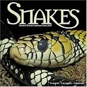 Snakes 2007 Wall Calendar