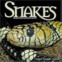 Snakes 2007 Wall Calendar