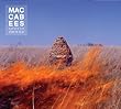 The Maccabees