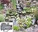 Solar-Powered Pond Aeration System