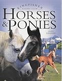 Horses & ponies