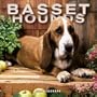 Basset Hounds 2004 Calendar