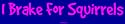 I Brake For Squirrels Bumper Sticker