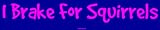 I Brake For Squirrels Bumper Sticker