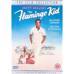 The Flamingo Kid [DVD] [1984]