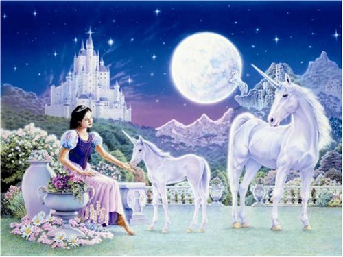 Childrens Toyshop  Toys : Unicorn Princess