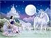 Unicorn Princess