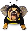 Zelda - Bumblebee Pet Costume - Pet Costumes