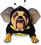 Paper Magic Group Zelda Bumblebee Pet Costume in 3 Sizes Picture