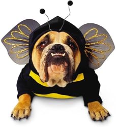 Zelda Wisdom - Bumblebee Dog Halloween Costume (Large)