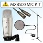 Behringer C1 Large Diaphragm Studio Condenser Microphone with Accessory Bundle