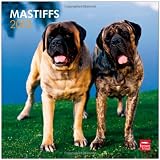 Mastiffs 2013 - Original BrownTrout-Kalender