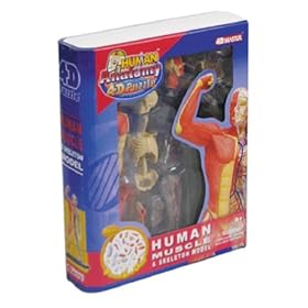 4D�p�Y�� �ؓ����X�P���g��