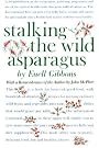 Stalking The Wild...