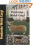 Pembroke Welsh Corgi (Pet Love)