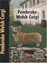 Pembroke Welsh Corgi