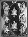TURTLES Animal Candy Mold Chocolate