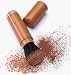 Shake It Up! Face Bronzing Powder Baked (S) (W)