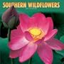 Southern Wildflowers: 2003