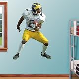 NFL Charles Woodson Michigan Vinyl Wall Graphic Decal Sticker Poster